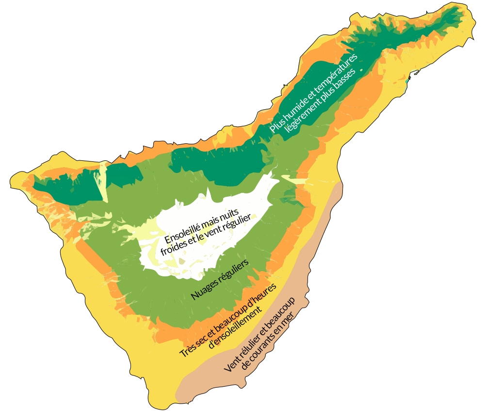 carte résumé de la meilleure période pour se rendre au sein de la destination tenerife