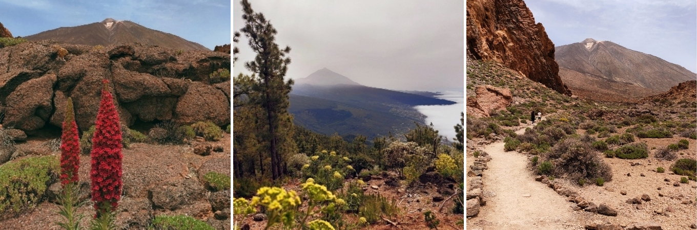 photos illustrant la vue sur le teide a tenerife