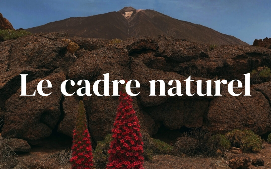 De quoi est composé le milieu naturel de l’île de Tenerife ?